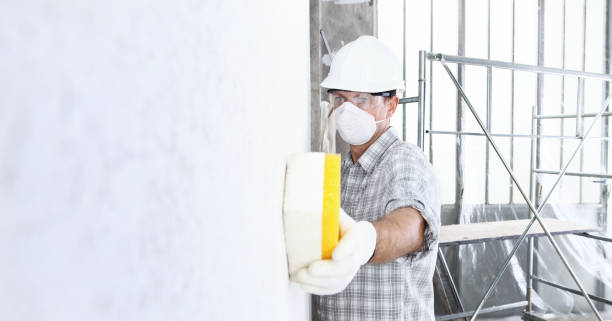 Why You Should Choose Our Mold Remediation Services in Brookfield, IL